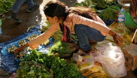 Pakse Local Market, Laos